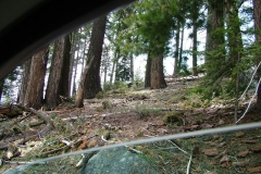 DSCF0254
