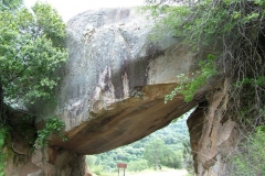 DSCF0262