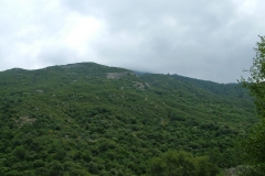 DSCF0265