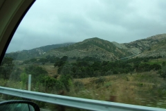 8_13_2005_1_16_29_PM_0003