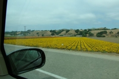 8_13_2005_1_42_23_PM_0012