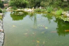 8_13_2005_2_01_57_PM_0022