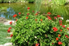 8_13_2005_2_26_09_PM_0024