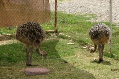 8_14_2005_1_44_19_PM_0048