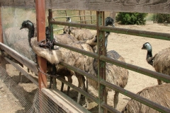 8_14_2005_1_45_21_PM_0052