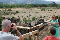 8_14_2005_1_49_03_PM_0059