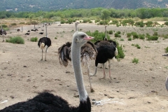 8_14_2005_1_49_39_PM_0061