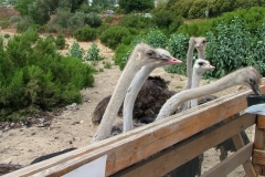 8_14_2005_1_50_06_PM_0062