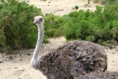 8_14_2005_1_50_12_PM_0063