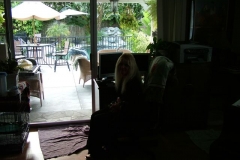 3_26_2006_5_27_17_PM_0001