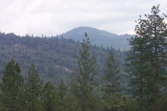 P0000017