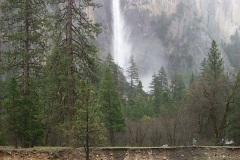 P0000039